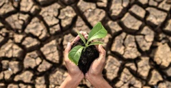 Peduli Isu Perubahan Iklim, Muhammadiyah Gelar Global Forum for Climate Movement