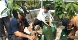 Jelang Musywil, MLH Resmikan Kebun Bibit dan Buah Muhammadiyah di Turi