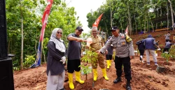 UAD Tanam 62.000 Pohon di Kalurahan Pengkok Gunungkidul