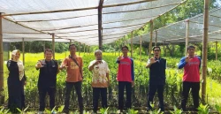 Lazismu DIY Hijaukan Bumi Melalui Program Tanam Bibit Mangrove