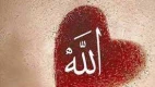 Mendalami Makna Hati dari Perspektif Islam