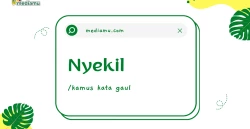 Penjelasan tentang Arti Kata Gaul "Nyekil"