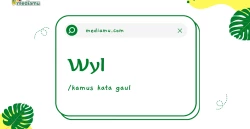Penjelasan tentang Arti Kata Gaul "Wyl"