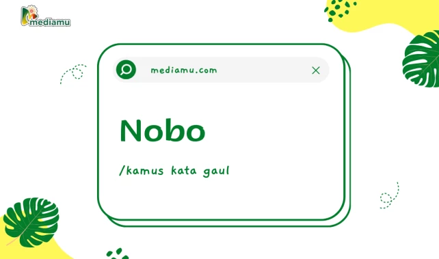 Penjelasan tentang Arti Kata Gaul "Nobo"