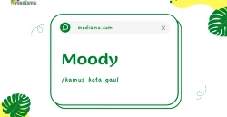 Penjelasan tentang Arti Kata Gaul "Moody"