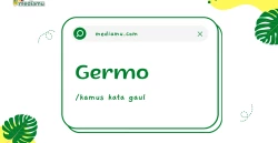 Penjelasan tentang Arti Kata Gaul "Germo"