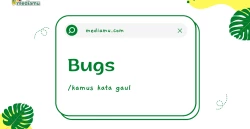 Penjelasan tentang Arti Kata Gaul "Bugs"