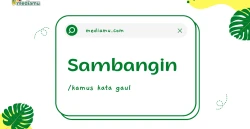 Penjelasan tentang Arti Kata Gaul "Sambangin"