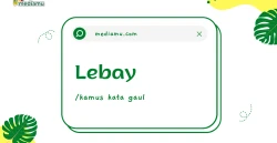 Penjelasan tentang Arti Kata Gaul "Lebay"