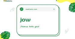 Penjelasan tentang Arti Kata Gaul "Jow"