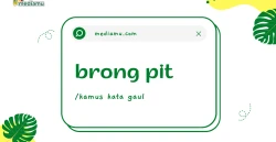 Penjelasan tentang Arti Kata Gaul "Brong Pit"