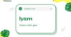 Penjelasan tentang Arti Kata Gaul "Lysm"