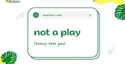 Penjelasan tentang Arti Kata Gaul "Not A Play"