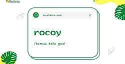 Penjelasan tentang Arti Kata Gaul "Rocoy"