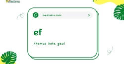 Penjelasan tentang Arti Kata Gaul "Ef"