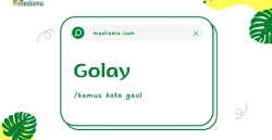 Penjelasan tentang Arti Kata Gaul "Golay"