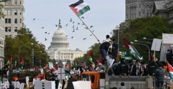 PCIM Amerika Bergabung Dalam Gelombang Dukungan Global untuk Palestina